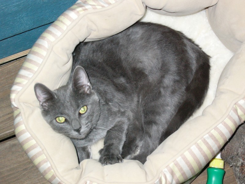 In her bed.JPG